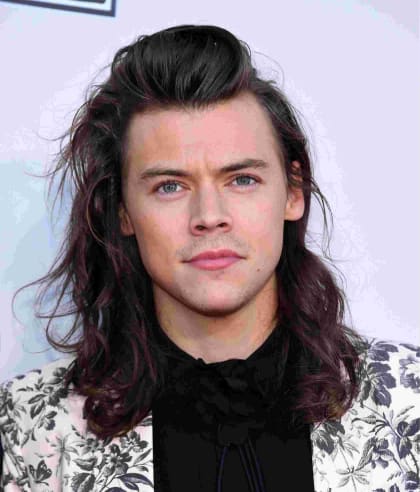 Harry Styles' 2021 Grammys Outfit Look Included A Green Feather